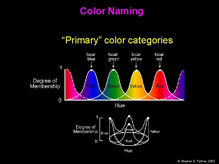 Color Naming “Primary” color categories © Stephen E. Palmer, 2002 