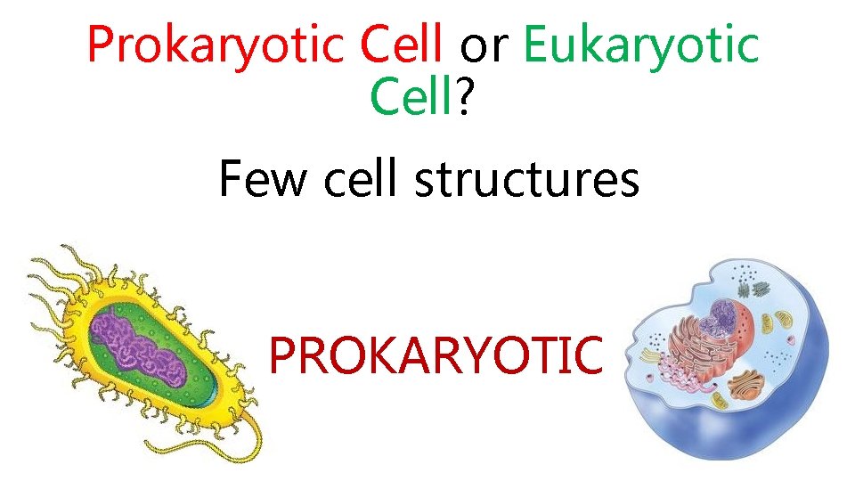 Prokaryotic Cell or Eukaryotic Cell? Few cell structures PROKARYOTIC 