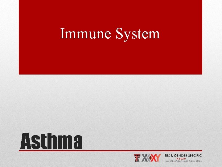 Immune System Asthma 