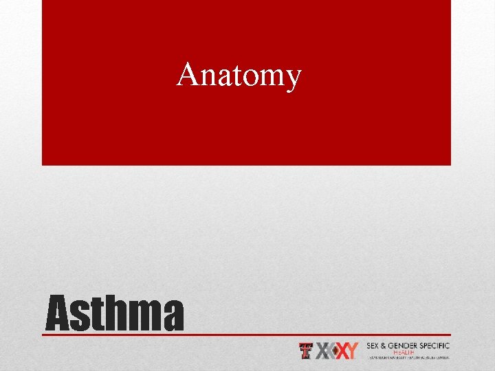 Anatomy Asthma 