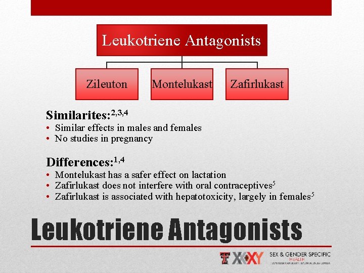 Leukotriene Antagonists Zileuton Montelukast Zafirlukast Similarites: 2, 3, 4 • Similar effects in males