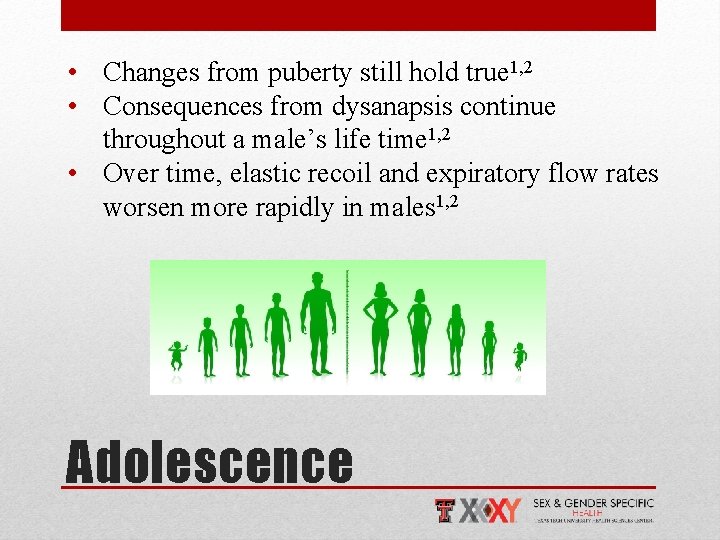  • Changes from puberty still hold true 1, 2 • Consequences from dysanapsis