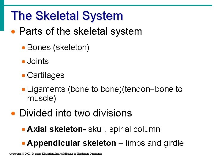 The Skeletal System · Parts of the skeletal system · Bones (skeleton) · Joints