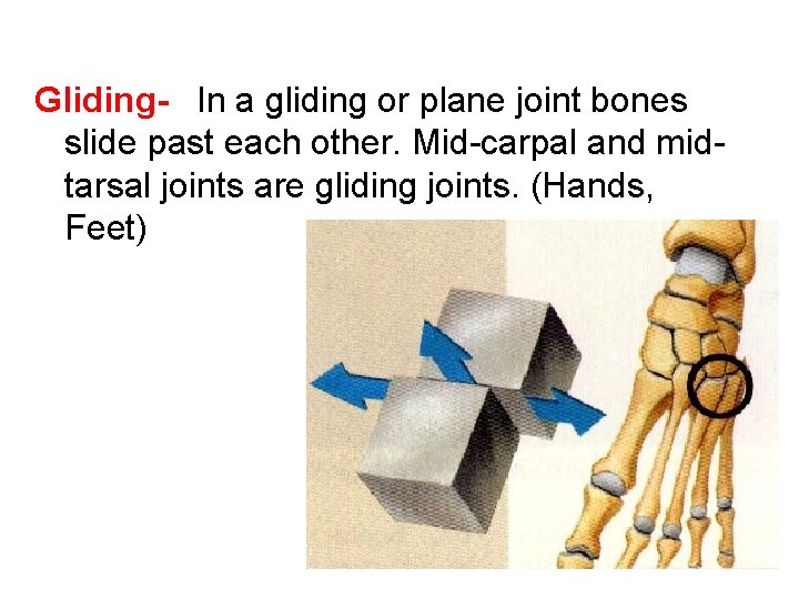 Gliding- In a gliding or plane joint bones slide past each other. Mid-carpal and