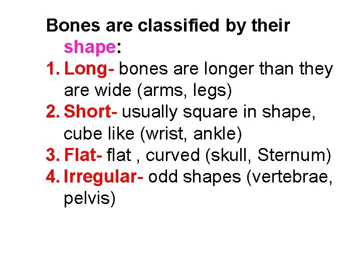 Bones are classified by their shape: 1. Long- bones are longer than they are
