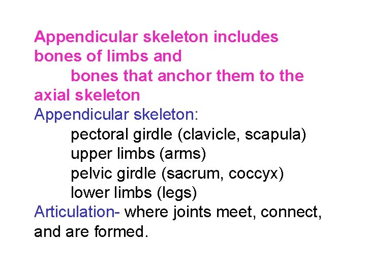 Appendicular skeleton includes bones of limbs and bones that anchor them to the axial