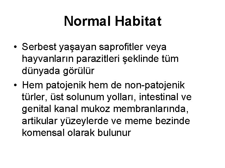 Normal Habitat • Serbest yaşayan saprofitler veya hayvanların parazitleri şeklinde tüm dünyada görülür •