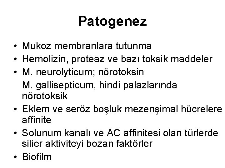 Patogenez • Mukoz membranlara tutunma • Hemolizin, proteaz ve bazı toksik maddeler • M.