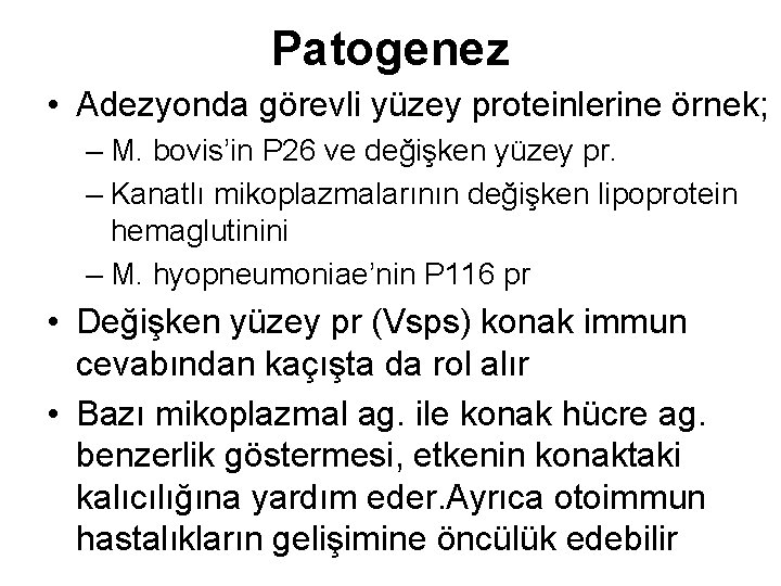 Patogenez • Adezyonda görevli yüzey proteinlerine örnek; – M. bovis’in P 26 ve değişken