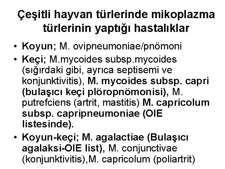 Çeşitli hayvan türlerinde mikoplazma türlerinin yaptığı hastalıklar • Koyun; M. ovipneumoniae/pnömoni • Keçi; M.