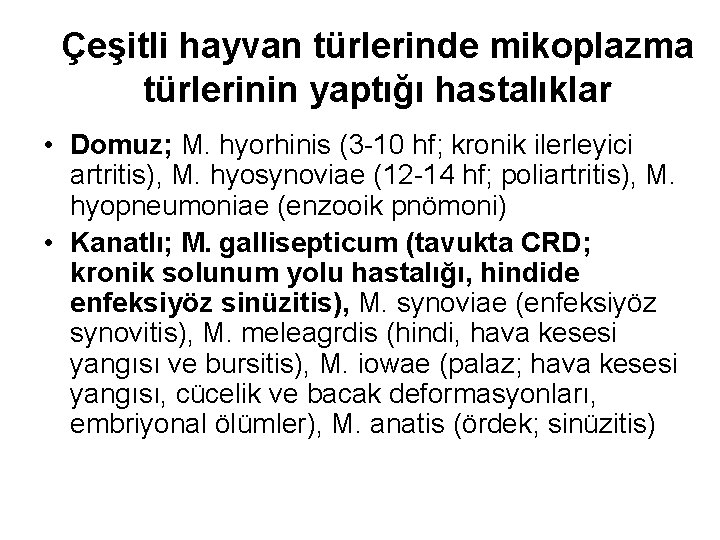 Çeşitli hayvan türlerinde mikoplazma türlerinin yaptığı hastalıklar • Domuz; M. hyorhinis (3 -10 hf;