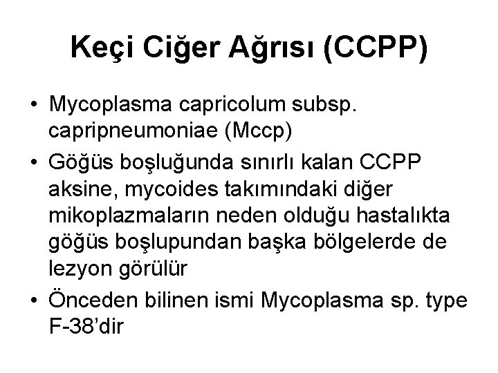 Keçi Ciğer Ağrısı (CCPP) • Mycoplasma capricolum subsp. capripneumoniae (Mccp) • Göğüs boşluğunda sınırlı