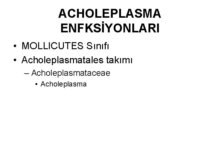 ACHOLEPLASMA ENFKSİYONLARI • MOLLICUTES Sınıfı • Acholeplasmatales takımı – Acholeplasmataceae • Acholeplasma 