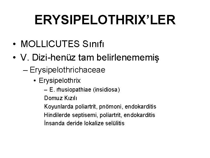ERYSIPELOTHRIX’LER • MOLLICUTES Sınıfı • V. Dizi-henüz tam belirlenememiş – Erysipelothrichaceae • Erysipelothrix –