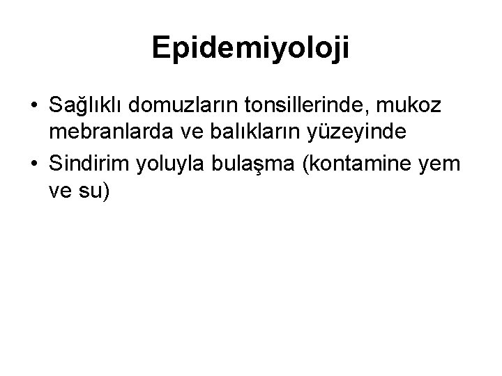 Epidemiyoloji • Sağlıklı domuzların tonsillerinde, mukoz mebranlarda ve balıkların yüzeyinde • Sindirim yoluyla bulaşma