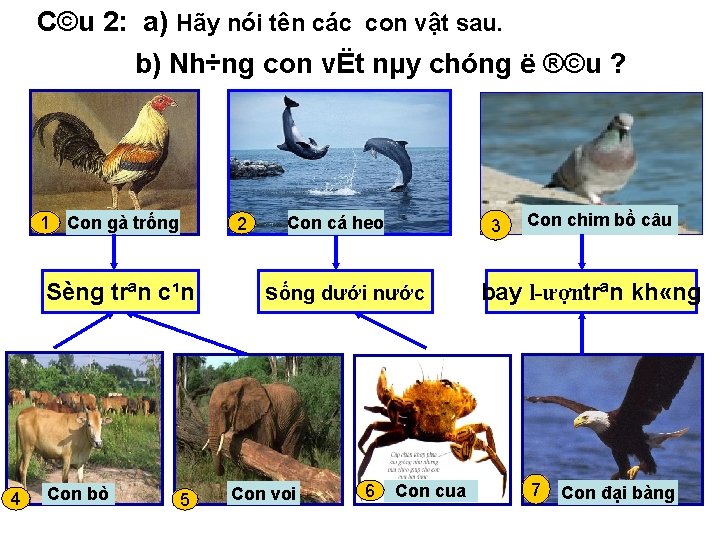 C©u 2: a) Hãy nói tên các con vật sau. b) Nh÷ng con vËt