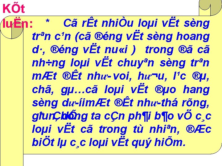 KÕt luËn: * Cã rÊt nhiÒu loµi vËt sèng trªn c¹n (cã ®éng vËt