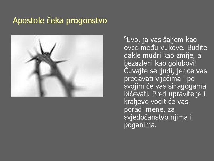 Apostole čeka progonstvo “Evo, ja vas šaljem kao ovce među vukove. Budite dakle mudri