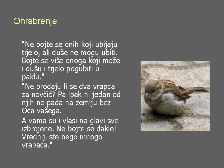 Ohrabrenje "Ne bojte se onih koji ubijaju tijelo, ali duše ne mogu ubiti. Bojte