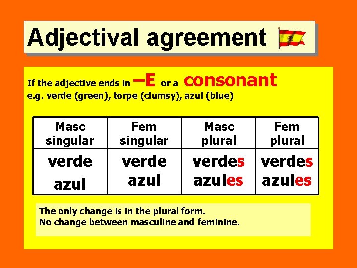 Adjectival agreement –E consonant If the adjective ends in or a e. g. verde