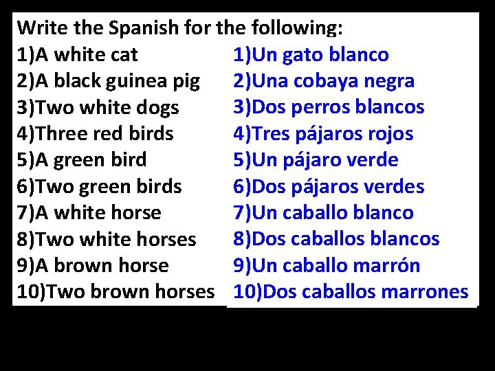 Write the Spanish for the following: 1)Un gato blanco 1)A white cat 2)A black