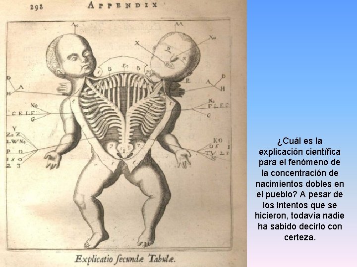 ¿Cuál es la explicación científica para el fenómeno de la concentración de nacimientos dobles