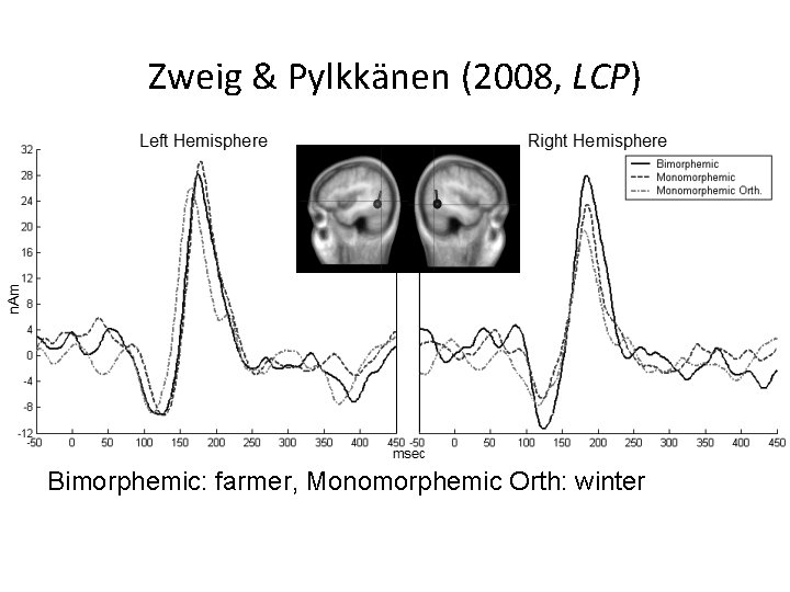 Zweig & Pylkkänen (2008, LCP) Bimorphemic: farmer, Monomorphemic Orth: winter 