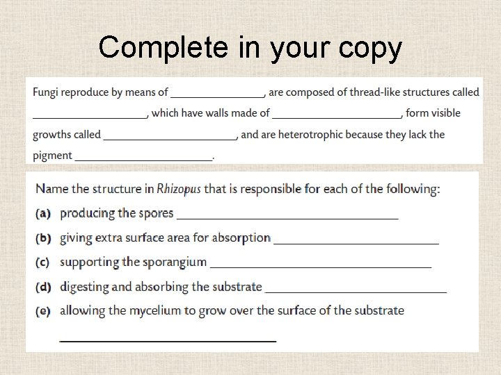 Complete in your copy 