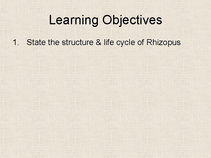 Learning Objectives 1. State the structure & life cycle of Rhizopus 