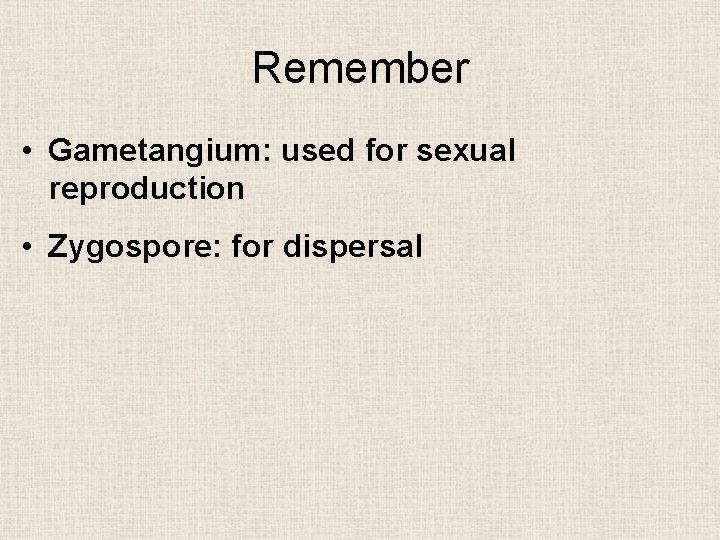 Remember • Gametangium: used for sexual reproduction • Zygospore: for dispersal 