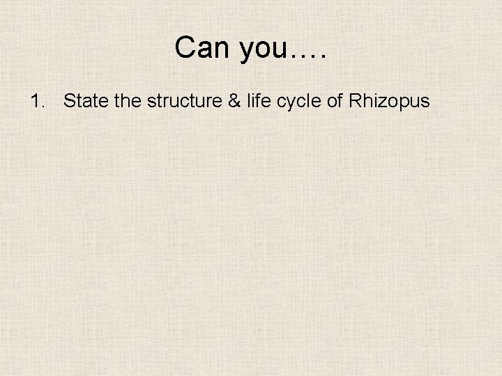 Can you…. 1. State the structure & life cycle of Rhizopus 