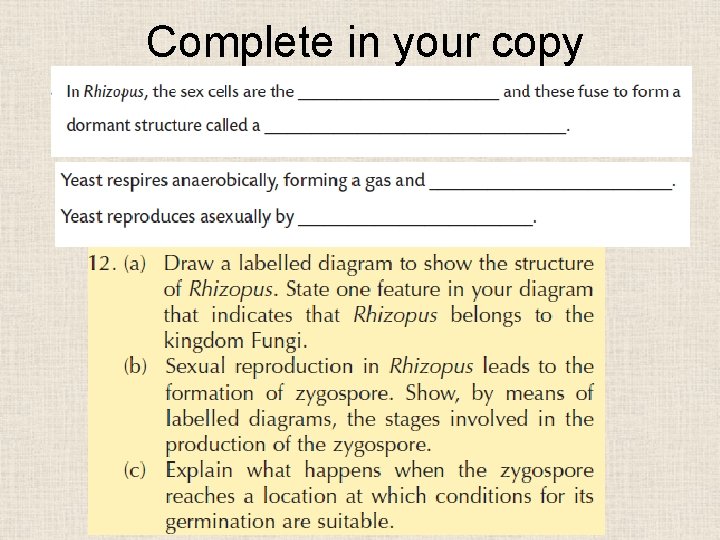 Complete in your copy 