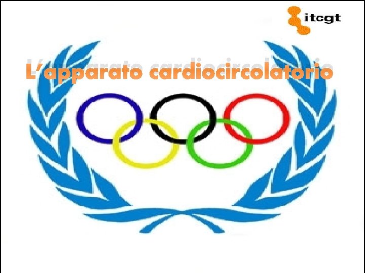 L’apparato cardiocircolatorio 