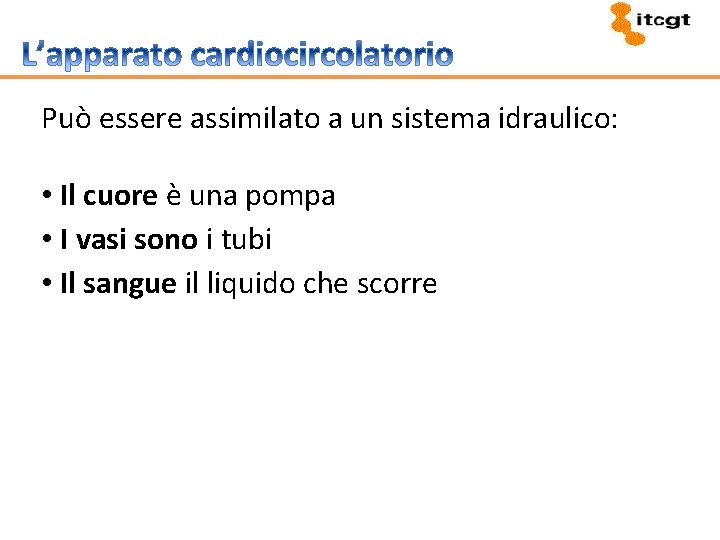 Può essere assimilato a un sistema idraulico: • Il cuore è una pompa •