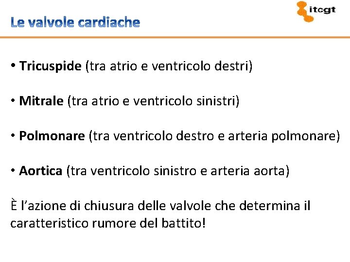  • Tricuspide (tra atrio e ventricolo destri) • Mitrale (tra atrio e ventricolo