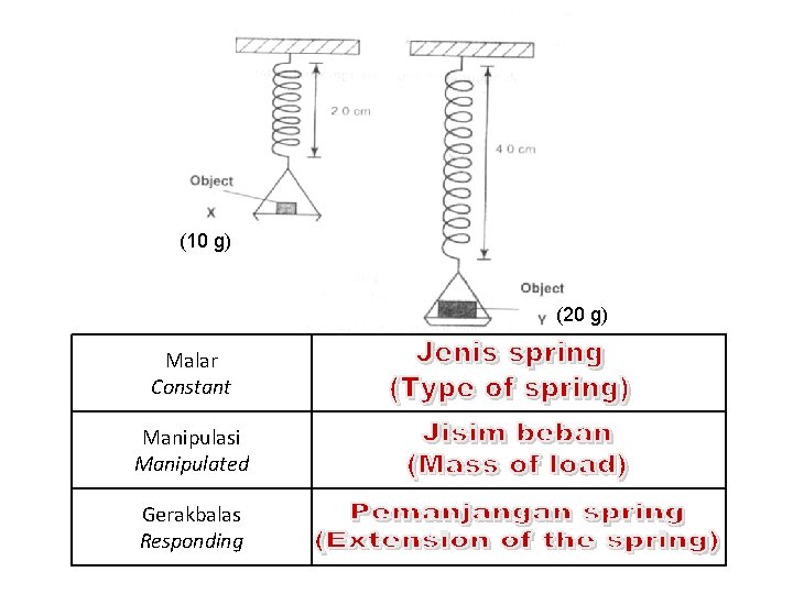 (10 g) (20 g) Malar Constant Manipulasi Manipulated Gerakbalas Responding 