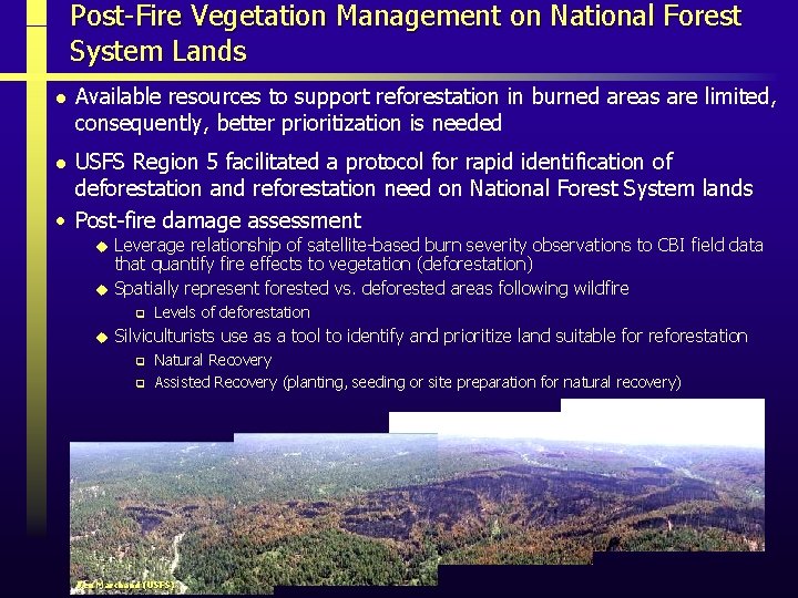 Post-Fire Vegetation Management on National Forest System Lands l Available resources to support reforestation