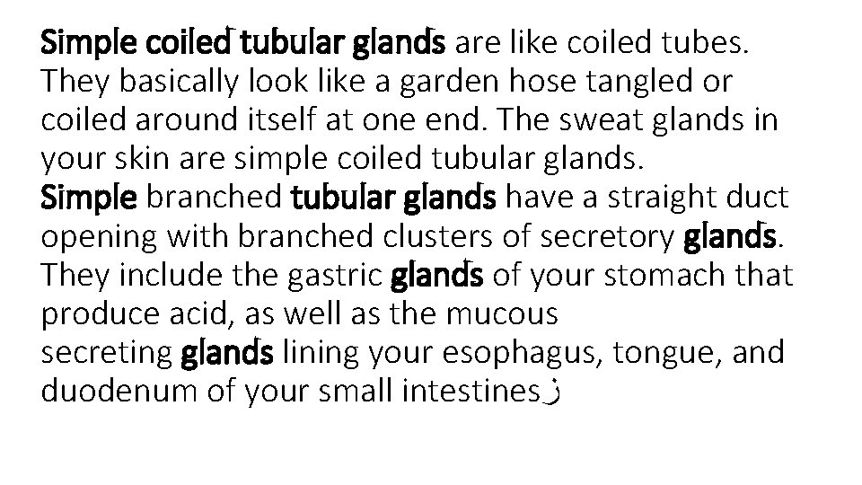 Simple coiled tubular glands are like coiled tubes. They basically look like a garden