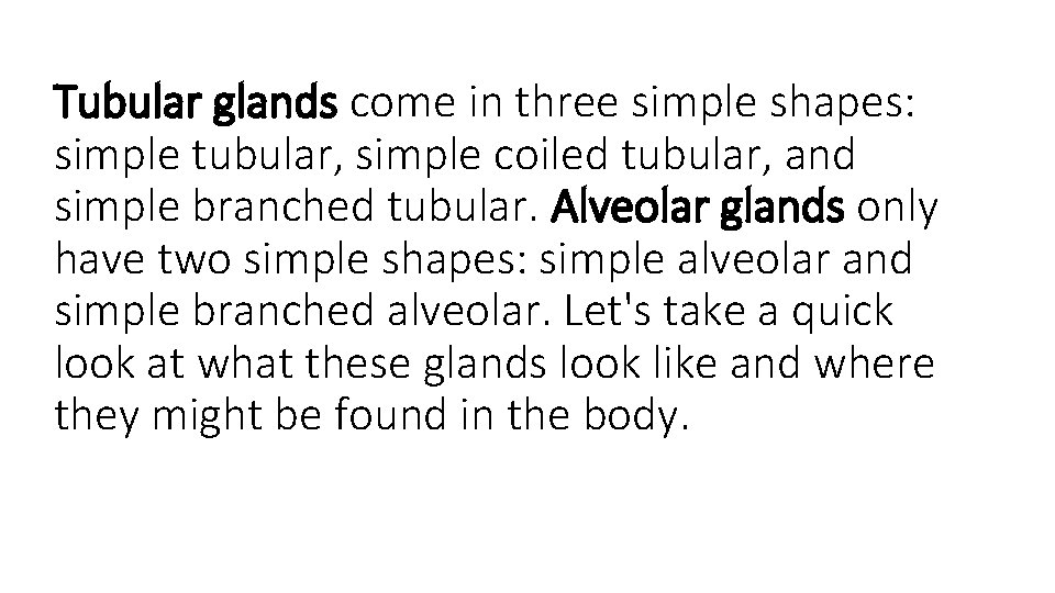 Tubular glands come in three simple shapes: simple tubular, simple coiled tubular, and simple