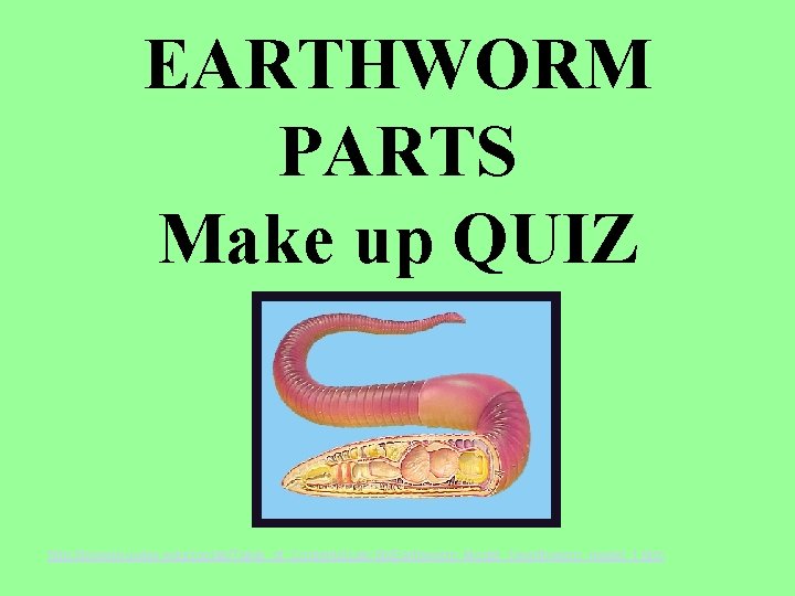 EARTHWORM PARTS Make up QUIZ http: //bioweb. uwlax. edu/zoolab/Table_of_Contents/Lab-6 b/Earthworm_Model_1/earthworm_model_1. htm 