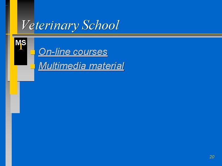 Veterinary School MS I On-line courses n Multimedia material n 20 