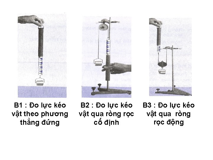 B 1 : Đo lực kéo vật theo phương thẳng đứng B 2 :