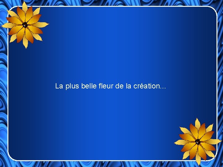 La plus belle fleur de la création. . . 