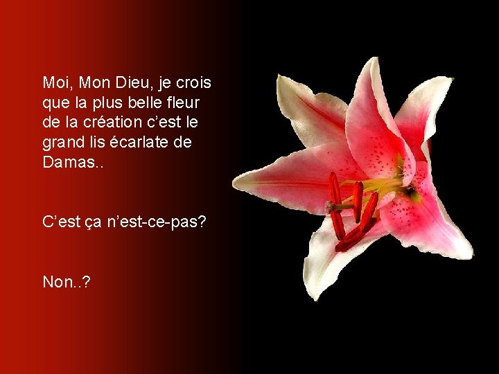 Moi, Mon Dieu, je crois que la plus belle fleur de la création c’est