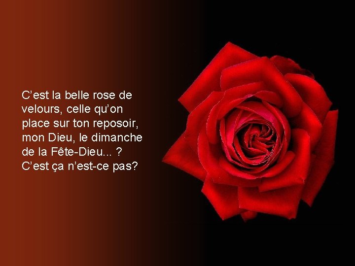 C’est la belle rose de velours, celle qu’on place sur ton reposoir, mon Dieu,