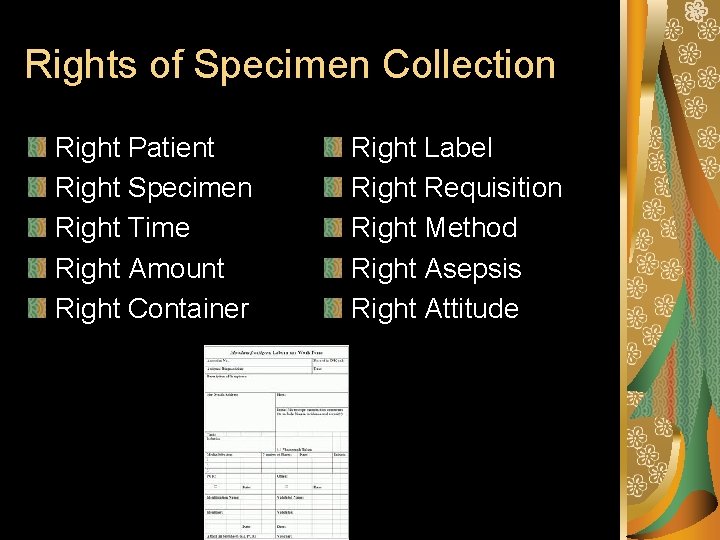 Rights of Specimen Collection Right Patient Right Specimen Right Time Right Amount Right Container Rights of Specimen Collection Right Patient Right Specimen Right Time Right Amount Right Container