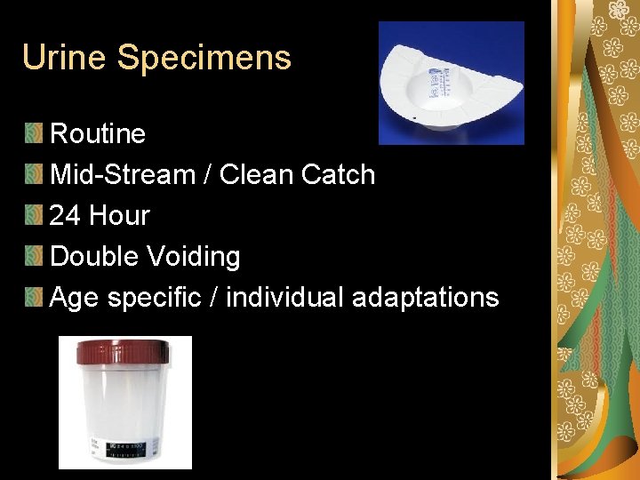 Urine Specimens Routine Mid-Stream / Clean Catch 24 Hour Double Voiding Age specific / Urine Specimens Routine Mid-Stream / Clean Catch 24 Hour Double Voiding Age specific /