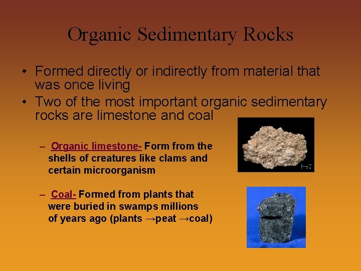 Organic Sedimentary Rocks • Formed directly or indirectly from material that was once living