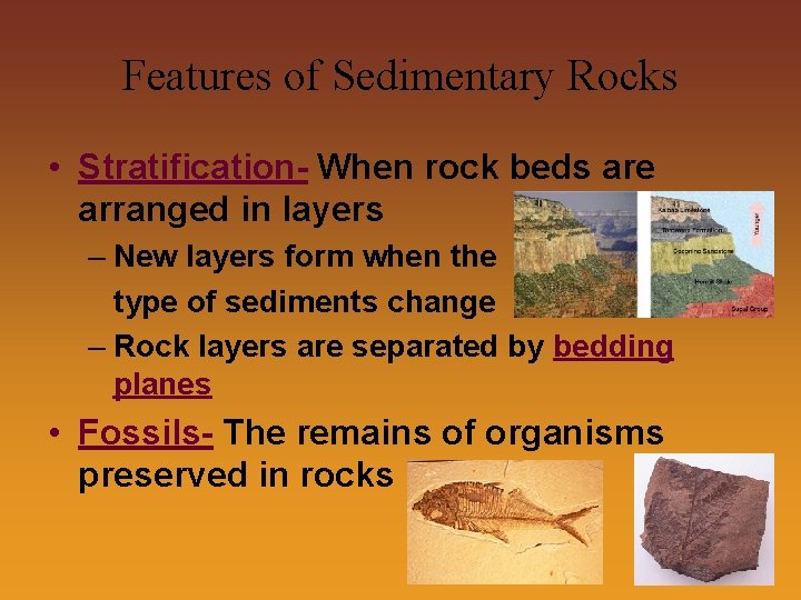 Features of Sedimentary Rocks • Stratification- When rock beds are arranged in layers –