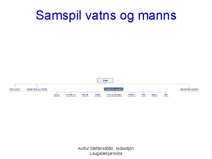 Samspil vatns og manns Auður Stefánsdóttir, skólastjóri Laugalækjarskóla 